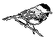 ANAIRR01.BMP