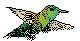 ANAIRR00.BMP
