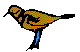 ANAIRG10.BMP