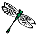 ANAIRG07.BMP