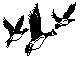 ANAIRG05.BMP