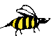 ANAICG04.BMP