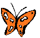 ANAICG02.BMP