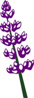 PLODSA12.WMF