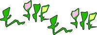 PLIDSL03.WMF