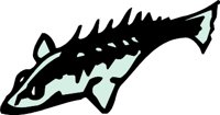 ANWARG11.WMF