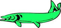 ANWARG01.WMF