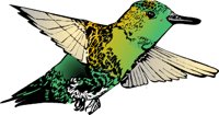 ANAIRR00.WMF