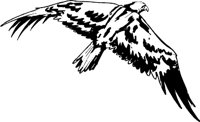 ANAIRL01.WMF