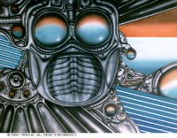METALHED.BMP