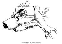 DOLPHOID.BMP