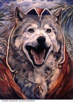 WOLFCOWL.BMP
