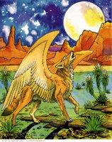 WNGCOYOT.BMP