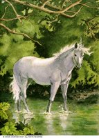 UNICORN1.BMP