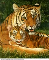 TIGERMOM.BMP