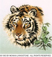 TIGER2.BMP