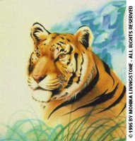 TIGER.BMP
