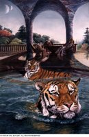 SWIMMERS.BMP