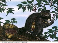 RACCOON.BMP