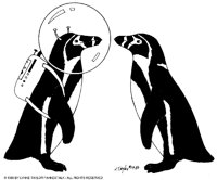 PENGUINS.BMP