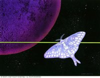 LUNAMOTH.BMP