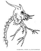 LARVA1.BMP