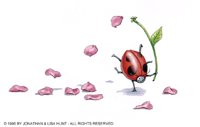 LADYBUG.BMP