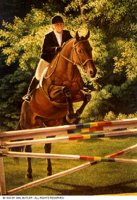 HORSJUMP.BMP
