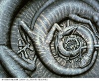 GECKOS.BMP