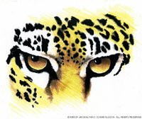 EYES.BMP