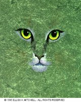 CATEYES.BMP