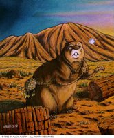 BEAVER2.BMP