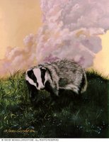 BADGER.BMP