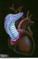 DRAGON3.BMP