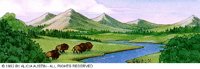 BUFFALO.BMP