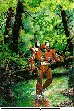 REDROBOT.bmp