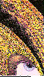 GUARDIAN.bmp