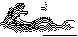 GNOR1.bmp