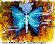 BUG_BYTE.bmp