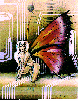 BUG.bmp