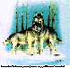 WOLVES.bmp