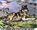 WOLF.bmp