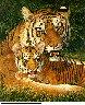 TIGERMOM.bmp