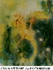 SEAHORSE.bmp