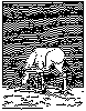 SCRATCH.bmp