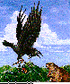 RAVEN.bmp