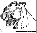 RAGE.bmp