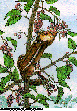 PICKER.bmp