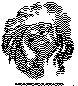 ODDBIRD.bmp