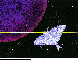 LUNAMOTH.bmp